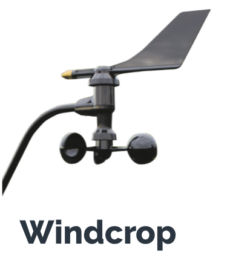 windcrop_hero